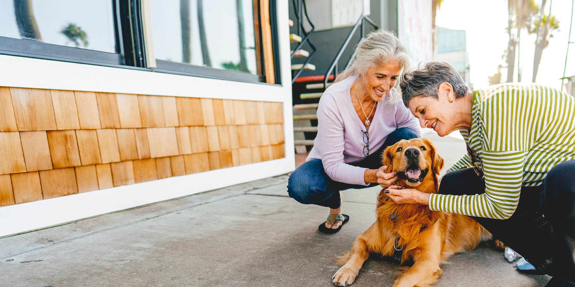 Two older ladies crouch down on the sidewalk in front of an apartment complex, tenderly petting a long-haired Labrador with affectionate smiles.
